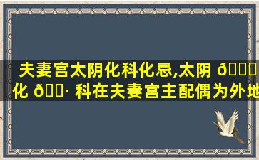 夫妻宫太阴化科化忌,太阴 🐋 化 🌷 科在夫妻宫主配偶为外地人